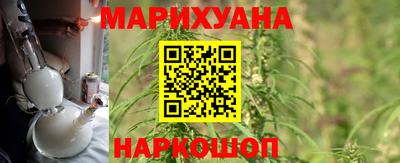 ГАЛЛЮЦИНОГЕННЫЕ ГРИБЫ Новозыбков