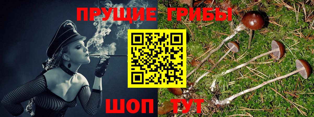 Галлюциногенные грибы Cubensis Фурманов
